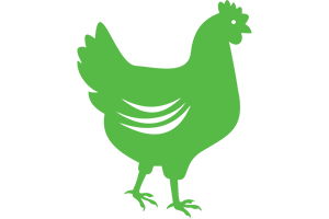 bv-science-icon-chickens