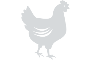 bv-science-icon-no-chickens