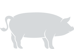 bv-science-icon-no-porks