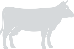 bv-science-icon-no-ruminants