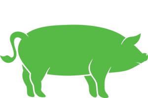 bv-science-icon-porks