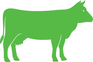 bv-science-icon-ruminants