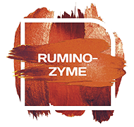 Rumino Zyme