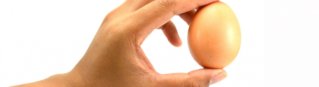 Result of a treatment combining a phytobiotic(1), a prebiotic(2) and organic acids with yeast wall(3) for clostridiosis control in laying hens