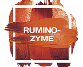 Rumino Zyme